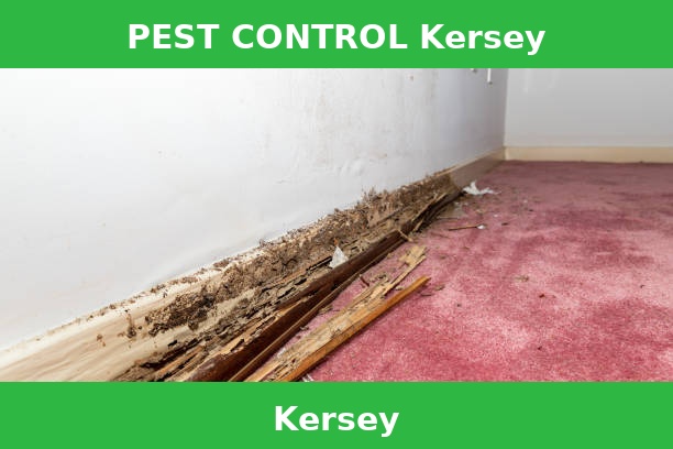PEST CONTROL Kersey